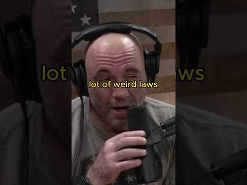 Two People Can Have a Fight in Front of Cops - Joe Rogan