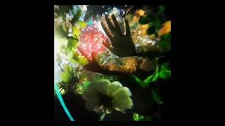 ⋆⭒˚｡⋆ ethereal / majestic audios + timestamps