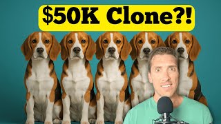 Is Cloning Your Pet Worth $50,000? (Barbra Streisand Did It Twice)