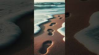 Barefoot on Sand - Let the New Day Begin #ambientsounds #music #cozystudy#lofi