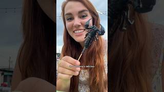 My first time trying a scorpion 😅 #foodie #thailand #travel #eating #shorts
