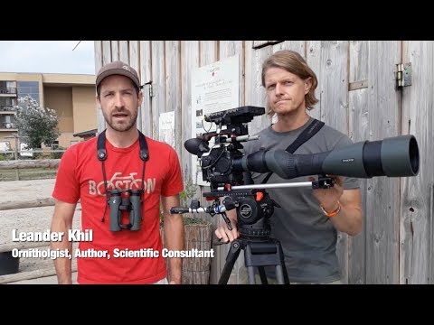 Kestrel Documentary: High Focal Length Reel