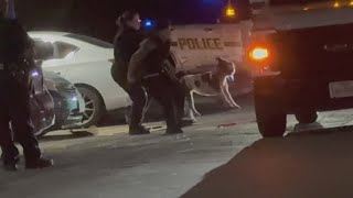 San Antonio woman dies from complications days after being mauled by dog, officials confirm