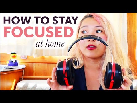 how to stay focused while studying from home 📚🧠