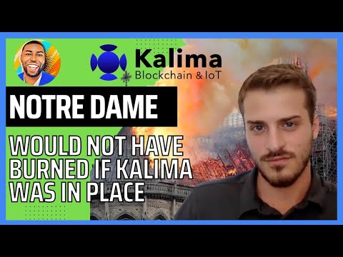 Interview with Basile Jannoun - Head Blockchain at Kalima | The future of Industrial Blockchain