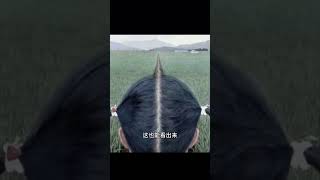 评论区摄影作品锐评，最懂构图的一期！ #摄影