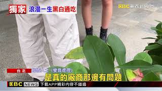 獨家》老董創「浪漫一生」打通黑白兩道 曾遭黑幫闖店討債@newsebc