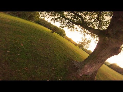 Under the canopy 🌳🔥 ~ proximity FPV Freestyle