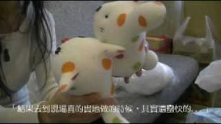 【兒福聯盟】2009弱勢家庭手作襪子娃娃─「愛貓咪」「愛兔兔」