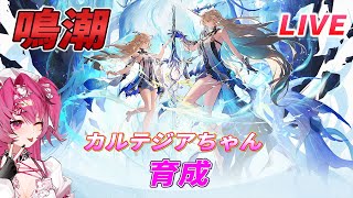 #鳴潮 #プロジェクトWAVE【鳴潮】【復帰勢】【視聴者参加型】カルテジアちゃん育成💖