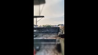 几次驱赶都没用，它们要扎根这里了吗？