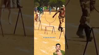 BSF dog training 🔥🇮🇳#shorts #bsf #youtube #army #10millionviwes #indianarmedforces  #indianmilitary