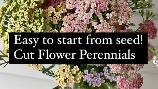 Cut Flower PERENNIALS that are easy to start from SEED! : Zone 5 : seed starting : Wild Bird Farm