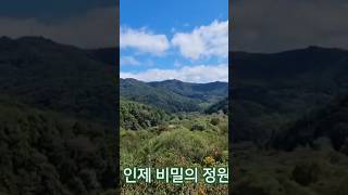 인제 비밀의 정원 #인제 #비밀의정원