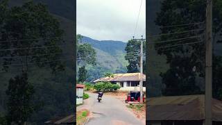 Beautiful Nature !! #roaming #ceylon #tea #srilanka #viralvideo #fyp #goviral