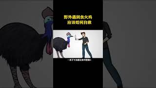 野外遇到食火鸡，应该如何自救 #野外  #科普 #寻找1000位科普达人