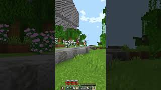 Average Public Lifesteal SMP Player...