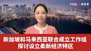 新马合作动态：新加坡和马来西亚联合成立工作组 探讨设立柔新经济特区
