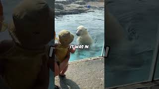 Polar bear attacks baby at zoo 😱
