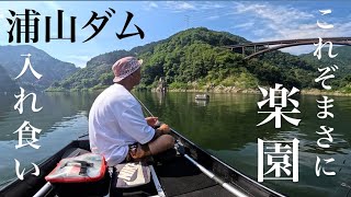 [Bass Fishing] Bass Paradise: Hunting Tigers at Uraya Dam! [Saitama Bass Fishing]