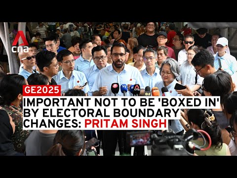 GE2025: Important not to be 'boxed in' by electoral boundary changes, says Pritam Singh