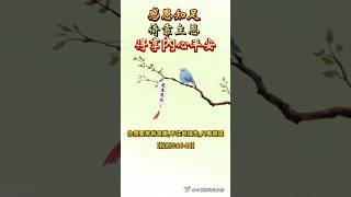 感恩知足，倚靠主恩，得享內心平安
