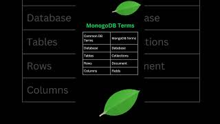 MongoDB Terms vs. General Database Terms! 🚀 | Quick Guide