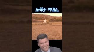 Eritrea movies #eritrea #ethiopia #shorts @EriOneTouchEntertainment