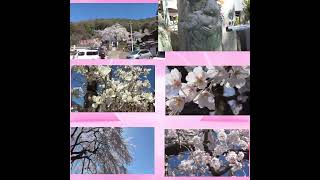 自己満足動画