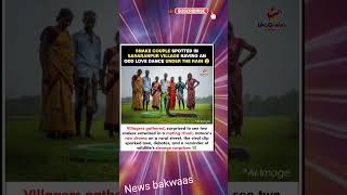 SNAKE COUPLE STUNS VILLAGERS 🐍#SaharanpurViral #SnakeDance #RainyLove #NatureDrama #VillageBu