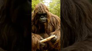 Bigfoot vlog 15 #bigfoot #dailyvlog #forest #outdoors #vlog #vlogs #weeklyvlog #fyp #shorts #veo3