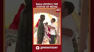 Rahul Gandhi Unveils Statue of Netaji Subhash Chandra Bose in Raebareli