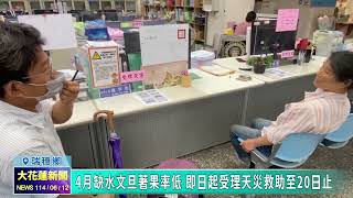 20250612 07 4月缺水文旦著果率低 即日起受理天災救助至20日止