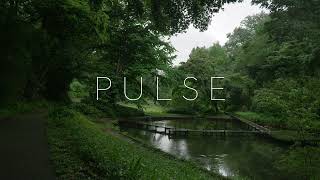 PULSE - CineLike A2 / LUMIX S1IIE