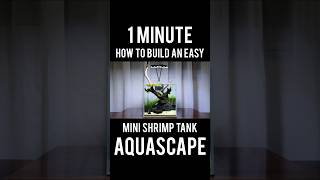 EASY SHRIMP TANK SETUP AQUASCAPE - TINY SHRIMP TANK SETUP - BETTA FISH TANK SETUP