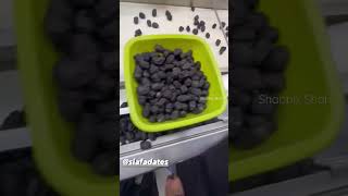 Dates Factory In Makkah #shorts #video #viral #status #makkah #shortsfeed #new #youtubeshorts #trend