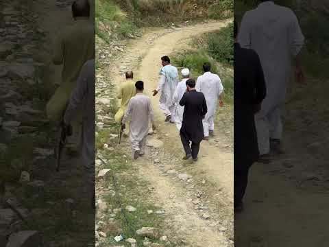 Mashar