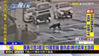 馬路中惡意棄養黑狗 小黑狂追車網看心碎@newsebc
