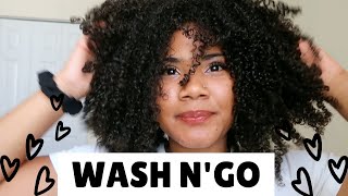 HOW TO GET A DEFINED WASH N' GO ON DAMAGED NATURALLY CURLY HAIR