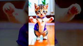 Funny Cat Dance 😹 | #cat #catvideos #funny #dancingcat #shorts #cuteanimal #006