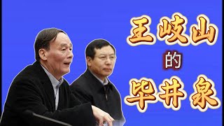 正部级毕井泉落马，曾担任王岐山的副秘书长；与今年落马的蒋超良、王会民，都曾是王岐山老部下；毕井泉的官场引路人是另一位前副总理马凯