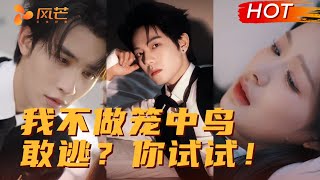 💗#余茵 #申浩男 #曾辉 | 「敢逃？你试试！」😈#姚冠宇 #韩雨彤 #王格格  #cdrama #love #强制爱 #热门推荐 #短剧 #都市