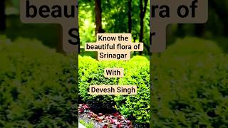 Flora of Srinagar#mapping #geography#indianmapping #govtexams#uppcs#education #travelers#travel