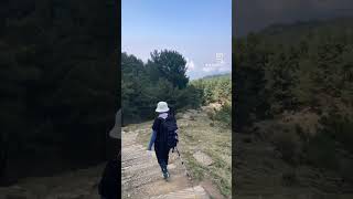 探索台灣山林之美《玉山國家公園·鹿林山》塔塔加三山之一