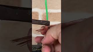 Easy way to join a wire |  #lifehacks #experiment #dailyhack #experiment #electrician #wire #diy