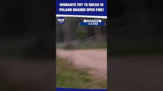 Polish Border Guards Open Fire on Migrants Attempting to Cross From Belarus | Oneindia News