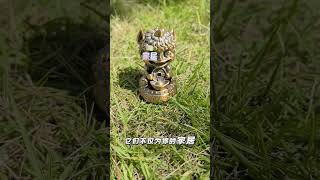 Adorable Design Patented Pixiu Baby Figurine.超可愛貔貅寶寶擺件