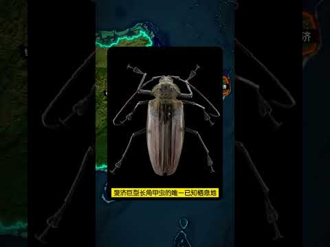 地球第75大岛屿——维提岛，印度劳工后裔成斐济第二大民族