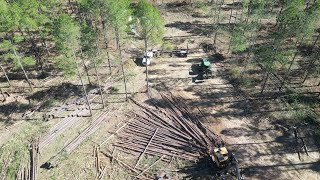 Logging In Mississippi Is Interesting‼️ (See For Yourself )