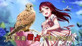 人与自然之红隼夫妻霸占了美女的花盆|人与自然|小型猛禽|Falco tinnunculus|野生动物|动物世界|搞笑解说|